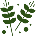 Weed Control Icon