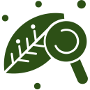 Pest Control Icon